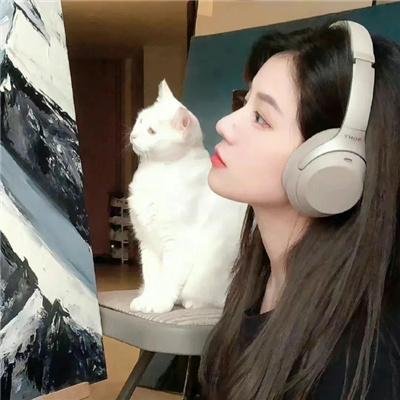 悬疑作者求生指南