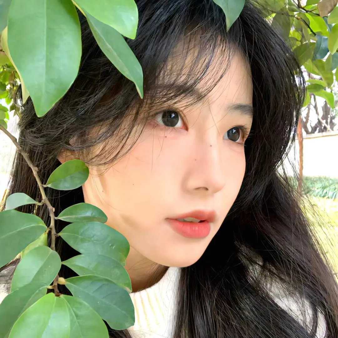 终结之旅